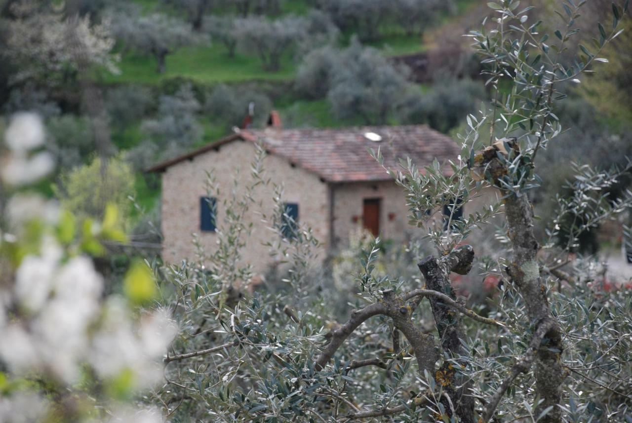 Le Corolline Villa Indipendente Uso Esclusivo Montepulciano Stazione Eksteriør billede