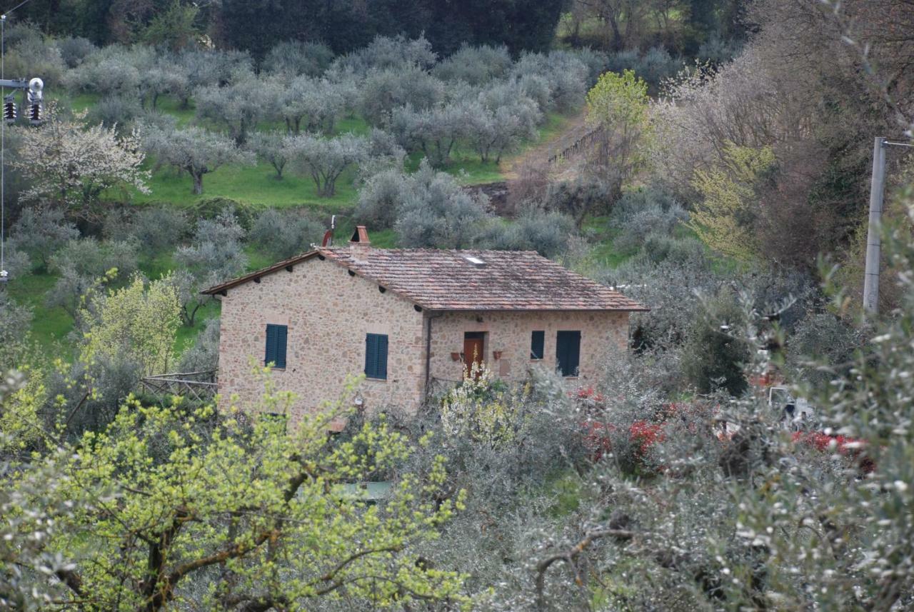 Le Corolline Villa Indipendente Uso Esclusivo Montepulciano Stazione Eksteriør billede