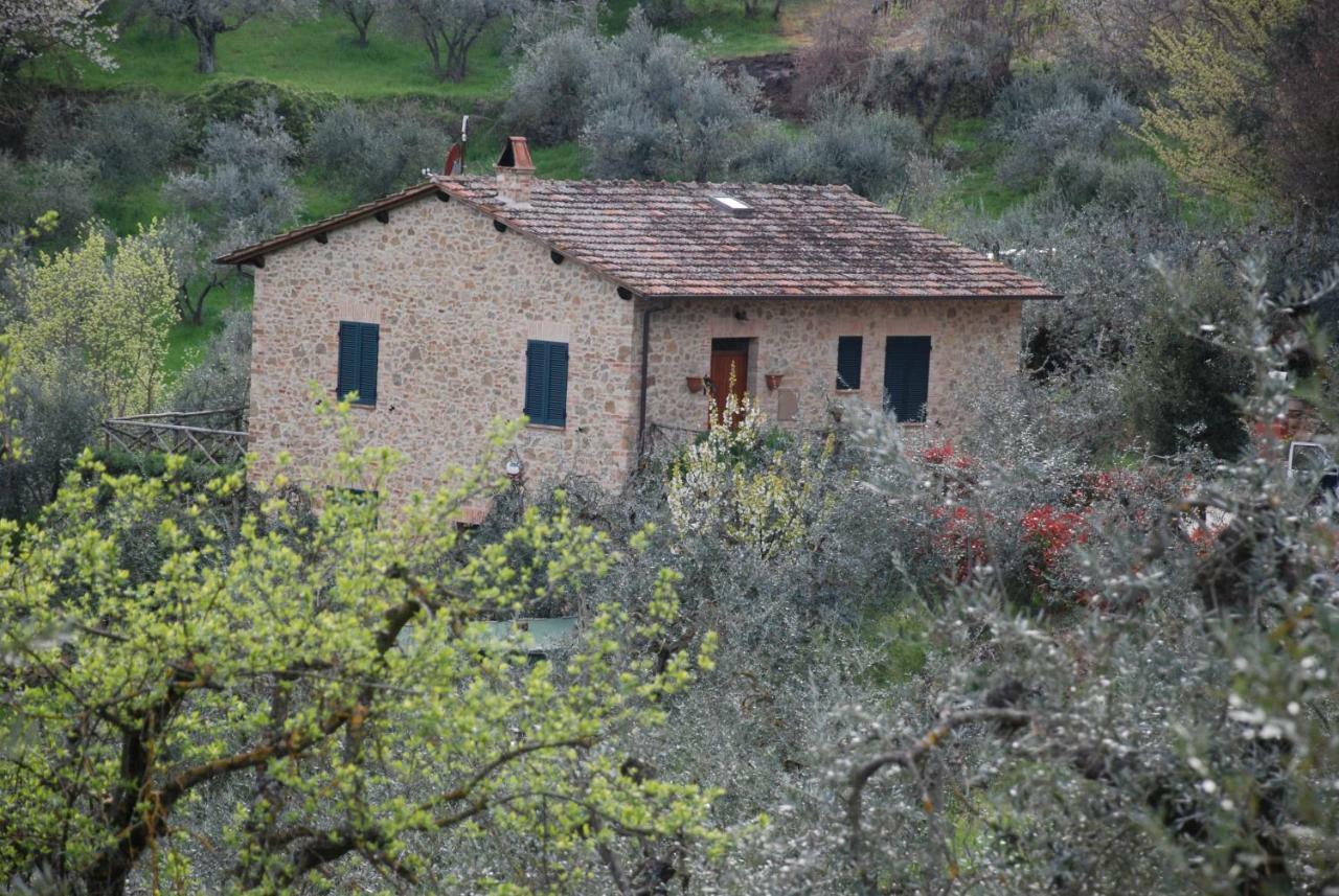 Le Corolline Villa Indipendente Uso Esclusivo Montepulciano Stazione Eksteriør billede